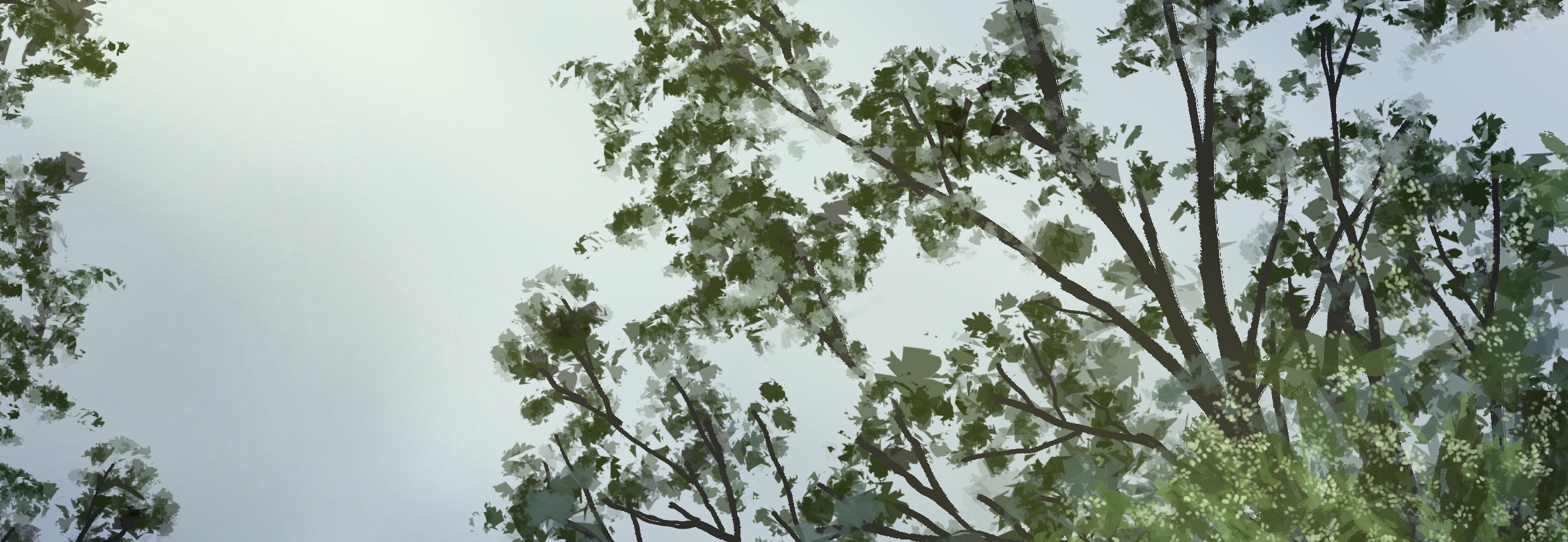 banner-image