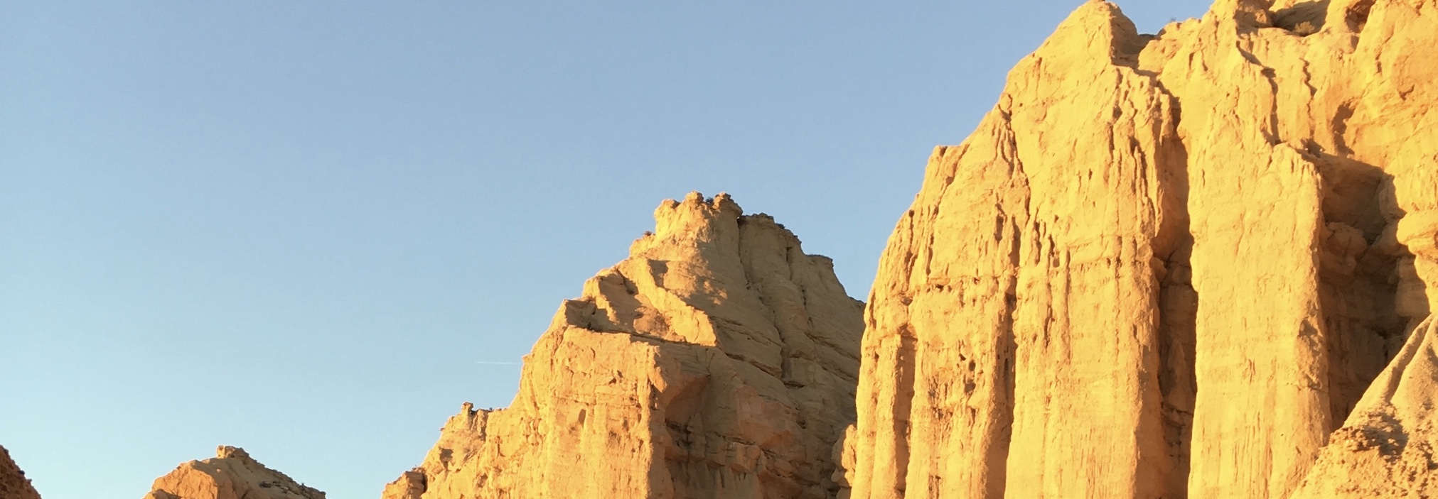 banner-image