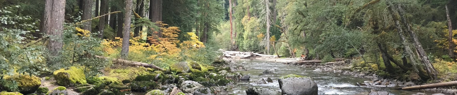 banner-image