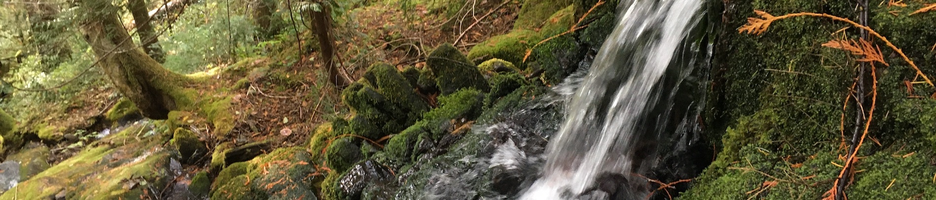 banner-image