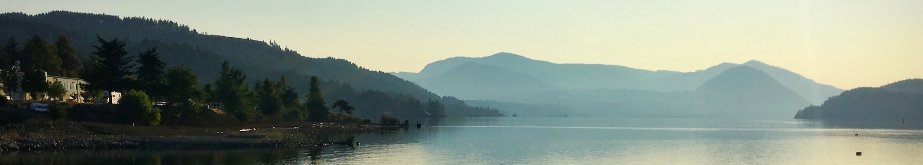 banner-image