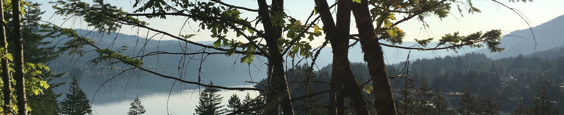 banner-image