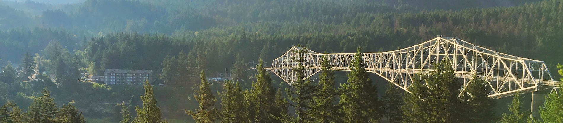 banner-image