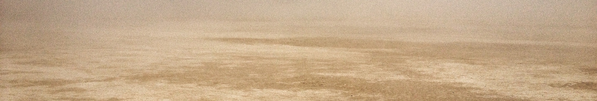 banner-image