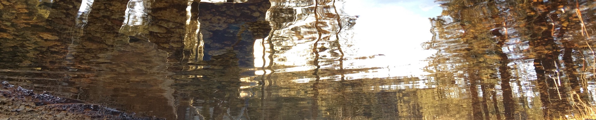 banner-image