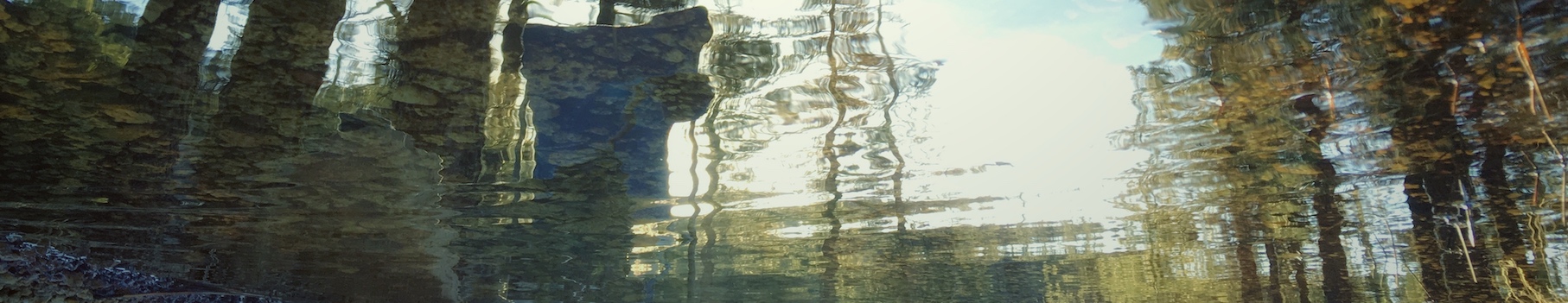banner-image