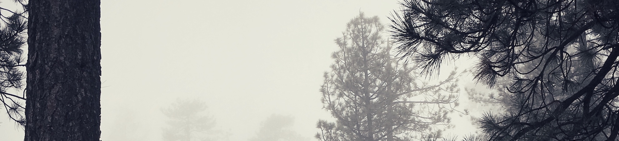 banner-image