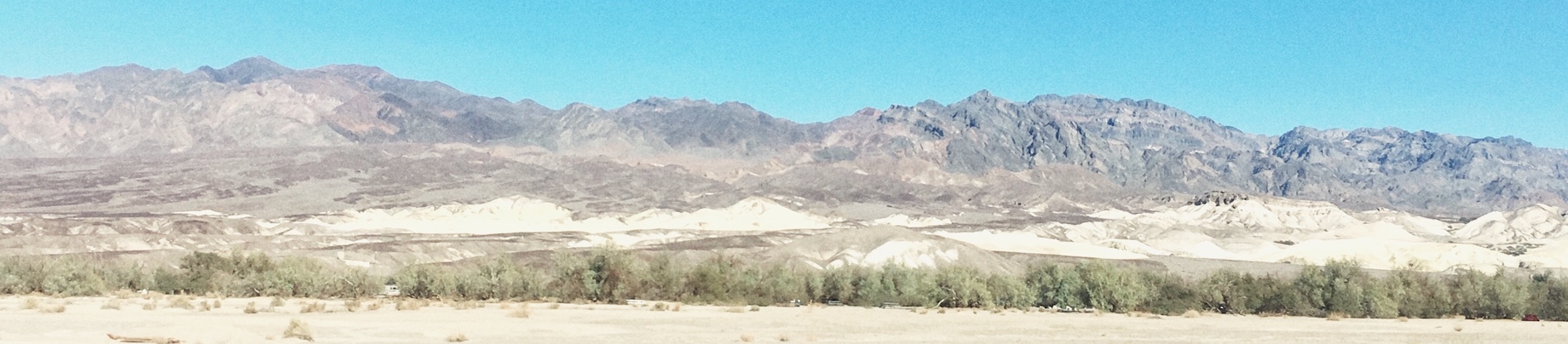 banner-image